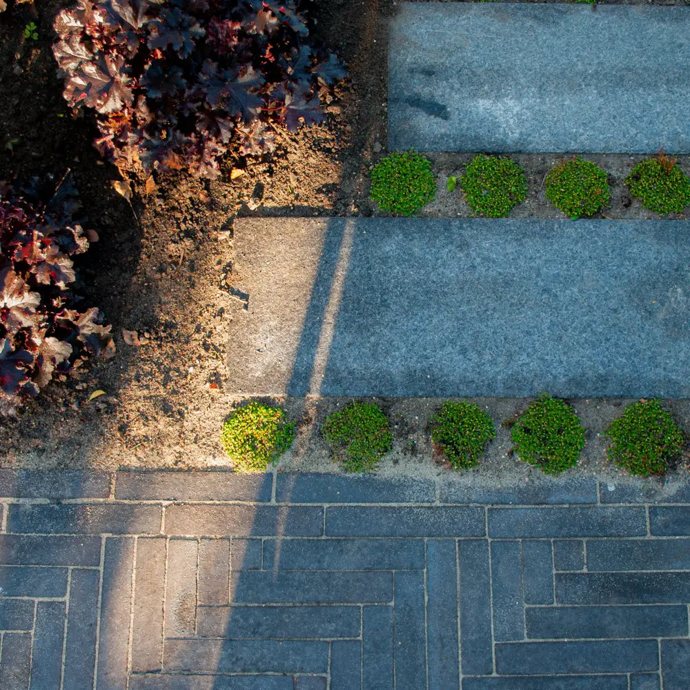 Town House Garden